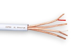 SUPRA XL ANNORUM 4X1.6 BLUE B75