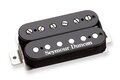 SEYMOUR DUNCAN GREEN MAGIC HUMBUCKER NECK BLACK