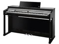 Kurzweil CUP P1 BP