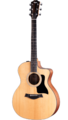 Taylor Guitars 114CE