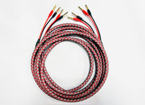 DALI CONNECT SC RM230S + Z Gold plugs 2 x 2.5 м