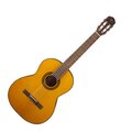 TAKAMINE GC1 NAT