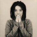 Bjork - Debut Vinyl LP