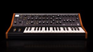 MOOG SUBSEQUENT 37