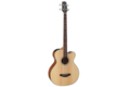 TAKAMINE GB30CE NAT