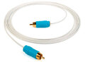 CHORD C-sub 1RCA to 1RCA 6m