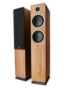 Argon Audio Fenris Active 55 Walnut