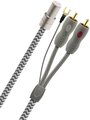 AUDIOQUEST Tonearm 1.5m WILDCAT 5PIN > RCA