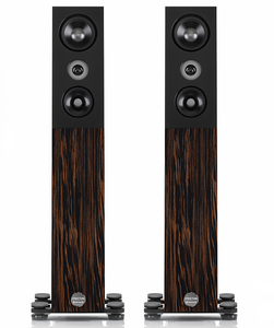 Audio Physic Structure EBONY