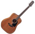 TAKAMINE GD11M NS