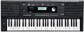 Kurzweil KP100