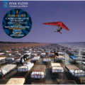 Pink Floyd – A Momentary Lapse Of Reason Vinyl 2LP