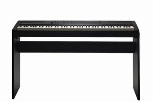 Kurzweil ST-2 LB