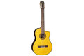 TAKAMINE GC5CE NAT