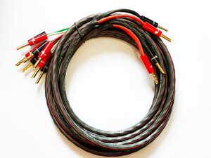 AUDIOQUEST SLiP-DB 14/4 + Z Gold plugs (Bi-Amping) 2 x 3 м