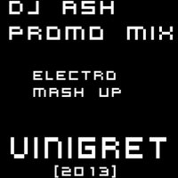 DJ ASH - DJ ASH ELECTRO HOUSE - MASH UP - VINOGRET [2013]