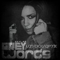 Van B.I.O.'S - Skylar Grey - Words (Van B.I.O.'S Remix)