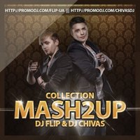 FLIP - The Fugges vs. Syke'n'Sugarstar feat. Lisa Millet - Ready or Rockin (DJ Flip & DJ Chivas Mashup)