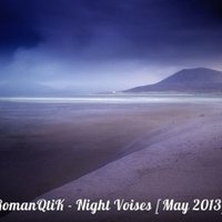 RomanQtiK - RomanQtiK - Night Voises [May 2013]