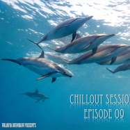 radio show MES - Volodya Budnikov presents - Chillout Sessions episode 09