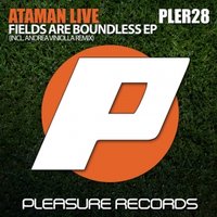 ATAMAN Live - Ataman Live - Fields're boundless (original mix)-preview