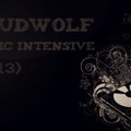 RoudWolf - RoudWolf - Music Intensive (2013)