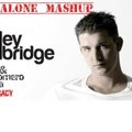 Specialone - Ashley Wallbridge&Nicky Romero feat. Krewella-Crush legacy(Specialone mashup)