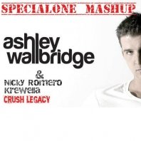 Specialone - Ashley Wallbridge&Nicky Romero feat. Krewella-Crush legacy(Specialone mashup)