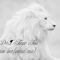 DJ TIMUR FEEL - Dj Timur Feel- white lion(special mix)