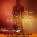 DJ DIM FROST - Avicii feat. Aloe Blacc - Wake Me Up ( Dj Dim Frost Mash-Up )