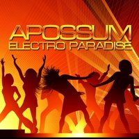 Apossum - Electro Paradise (go-go mix)