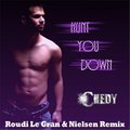 DJ Nielsen - Chedy - Hunt You Down (Roudi Le Gran & Nielsen Remix)