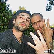 The DomSon