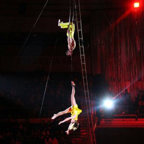 aerial cradle