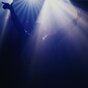 Navi