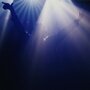 Navi