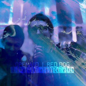 OPENAIID