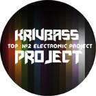 Krivbass_Project
