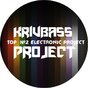 Krivbass_Project