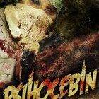PSiHOCEBiN