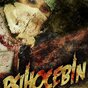 PSiHOCEBiN