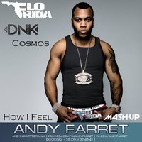 Andy Farret - Flo Rida vs. DJ DNK ft. Cosmos - How I Feel (Andy Farret Mash Up)