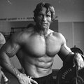 Arnold Schwarzenegger